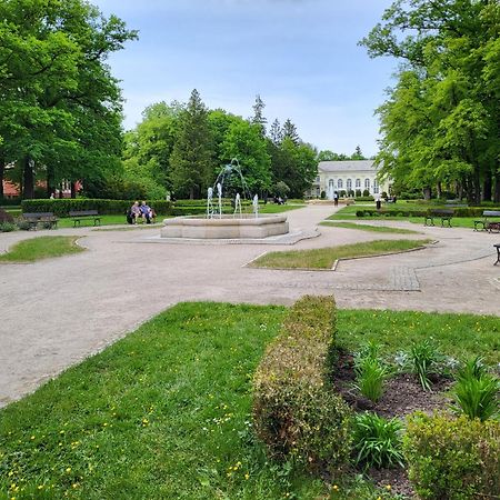 Villa Klara Cieplice Єленя-Ґура Екстер'єр фото