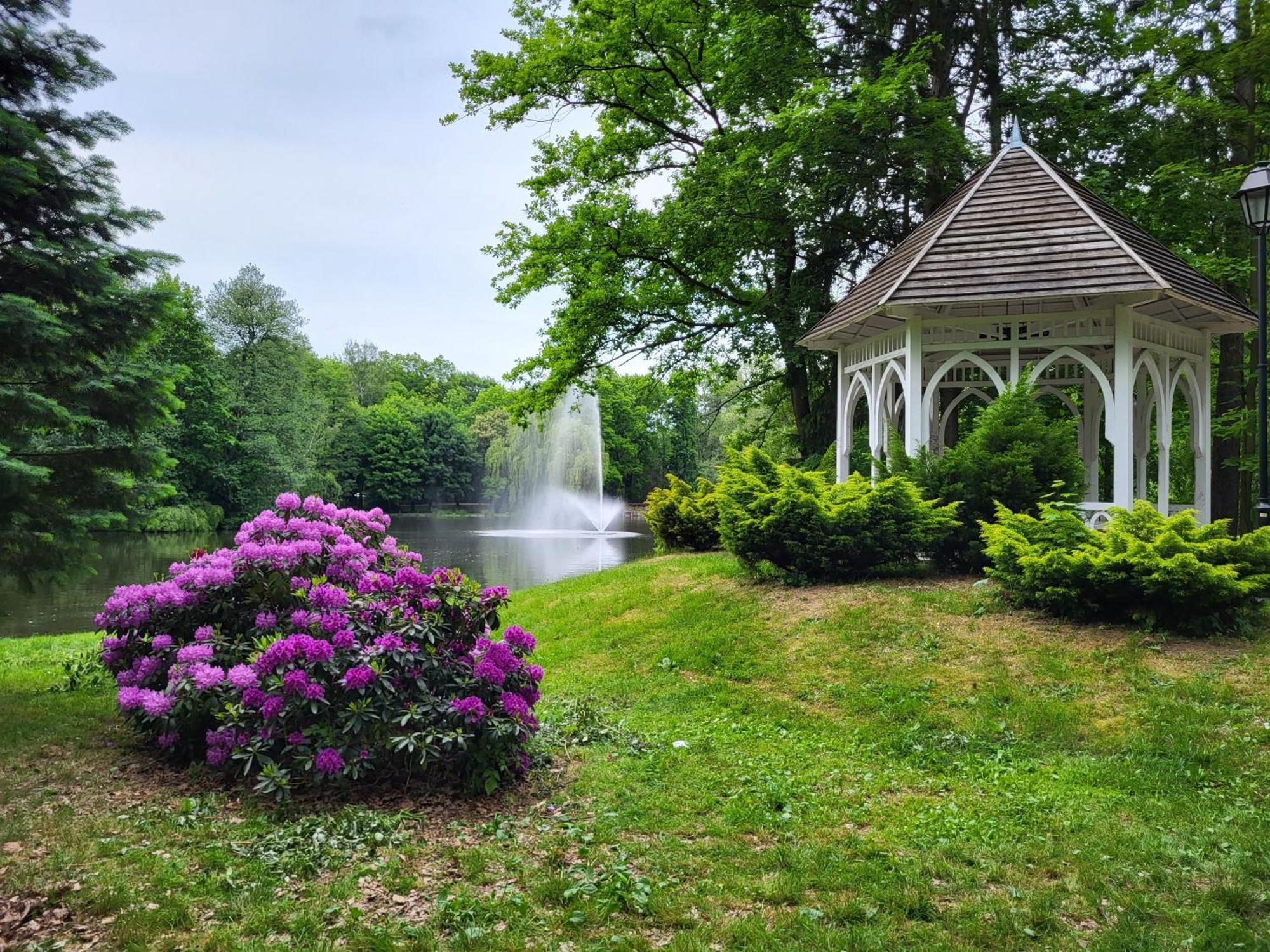 Villa Klara Cieplice Єленя-Ґура Екстер'єр фото